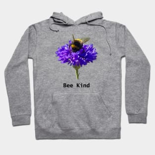 Honey Bee says Bee Kind for Positivity Hoodie